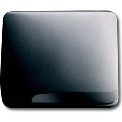 Busch-Jaeger Zentralscheibe pla 1746-20-101 2CKA001753A5978