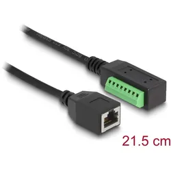 DeLOCK RJ45 Kabel Cat.5e Buchse zu Terminalblock Adapter 21,5 cm