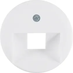 Berker Zentralstück pws 1407
