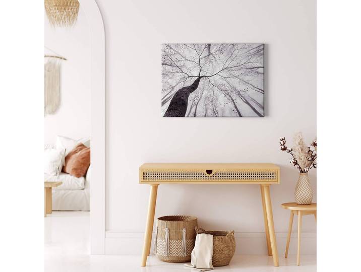 Leinwandbild Pavlasek Polyester PVC / Fichtenholz Weiß 70 x 50cm
