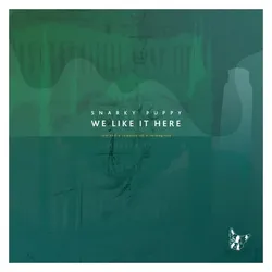 Various Publishers, Schallplatten, WE LIKE IT HERE (BOX) (RMST) (RMXS) (Snarky Puppy)