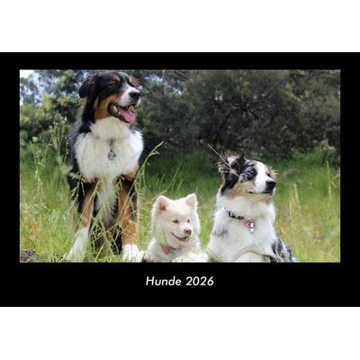 Hunde 2026 Fotokalender DIN A3