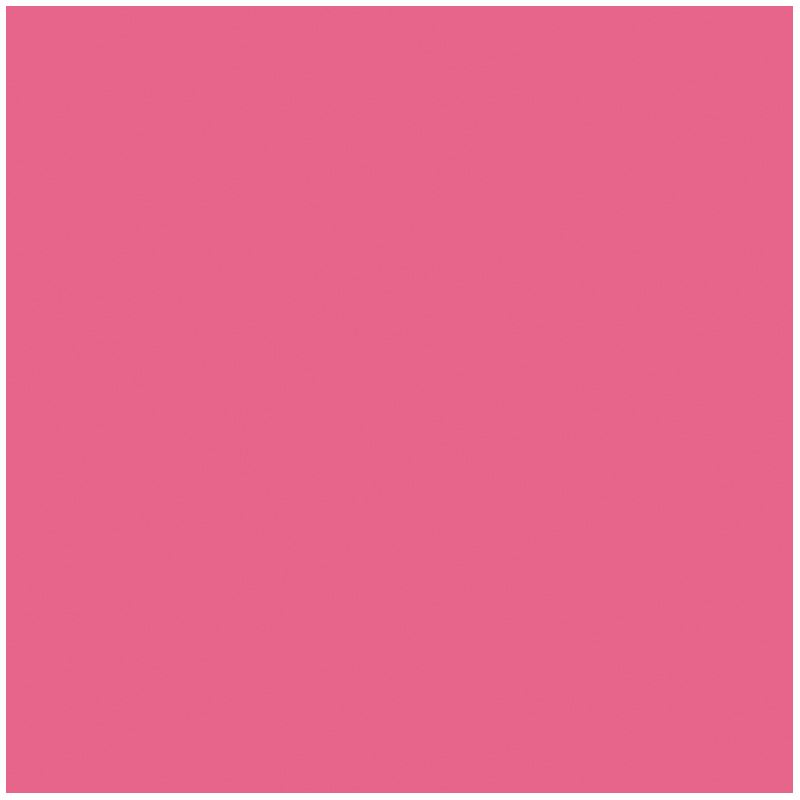 folia Fotokarton rosa 300 g/qm 50 St.