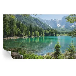 FOTOTAPETE 416x254 cm - Grüner See