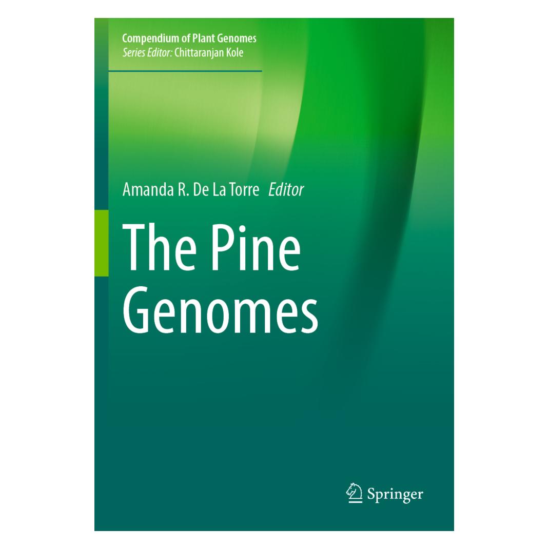 Springer The Pine Genomes (Englisch, Softcover, Amanda R. De la Torre) (56935157)