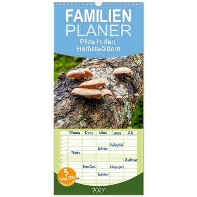 Familienplaner 2027 - Pilze in den Herbstwäldern mit 5 Spalten (Wandkalender, 21 x 45 cm) CALVENDO