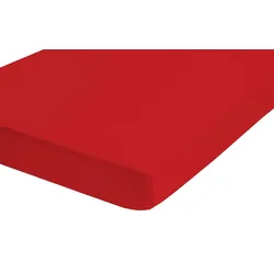 Spannbettlaken Feinbiber ( 90/190 - 100/200 cm) - 90/190 - 100/200 cm