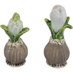 Deko-Blumenzwiebeln (DH 5x12,50 cm) - DH 5x12,50 cm