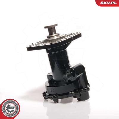 ESEN SKV Unterdruckpumpe, Bremsanlage 18SKV011 für DAF LAND ROVER