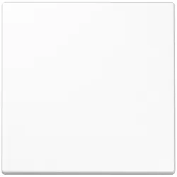 Jung Steuertaste Standard LS 1700 WW