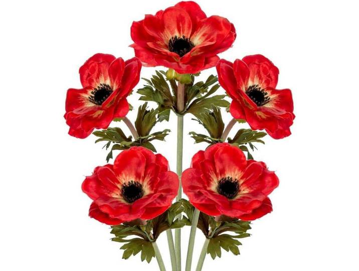 Kunstblumen 5er Set Anemonen Rot 53 cm, 53 cm, Dekoration, Blumen & Blumentöpfe, Kunstblumen
