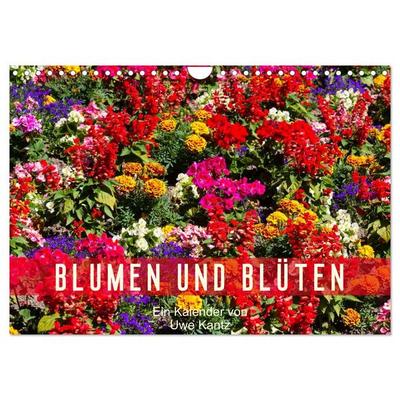 Blumen und Blüten (Wandkalender 2026 DIN A4 quer), CALVENDO Monatskalender
