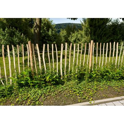 Staketenzaun KONIFERA "Rollzaun Haselnuss, HxB: 120x500 oder 150x300 cm", natur, H:120cm, Holzwerkstoff, Zaunelemente, für Abgrenzungen oder Einfassungen im Garten