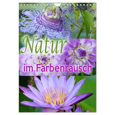 Natur im Farbenrausch (Wandkalender 2026 DIN A4 hoch), CALVENDO Monatskalender