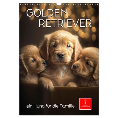Golden Retriever - ein Hund für die Familie (Wandkalender 2027 DIN A3 hoch), CALVENDO Monatskalender