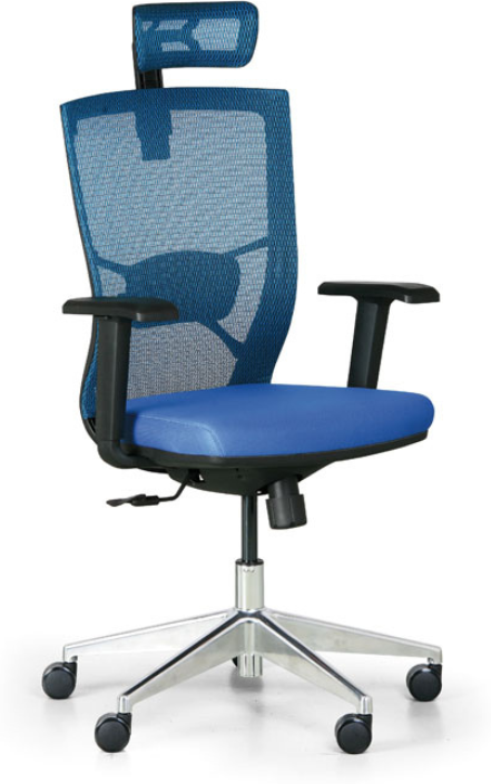 B2B Partner Bürostuhl DESI, blau