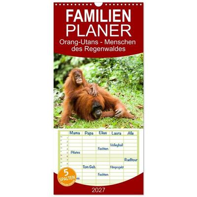 Familienplaner 2027 - Orang-Utans - Menschen des Regenwaldes mit 5 Spalten (Wandkalender, 21 x 45 cm) CALVENDO