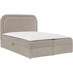 BOXBETT Bonito - H3