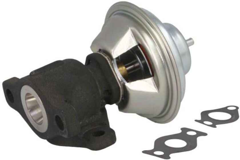AGR Ventil NRF 48729