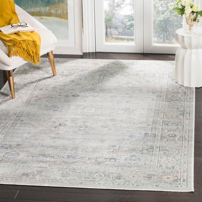 SAFAVIEH Didina Vintage Distressed Boho Oriental Rug
