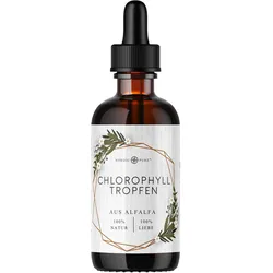 Chlorophyll-Tropfen aus Alfalfa Nordic Pure 100 ML