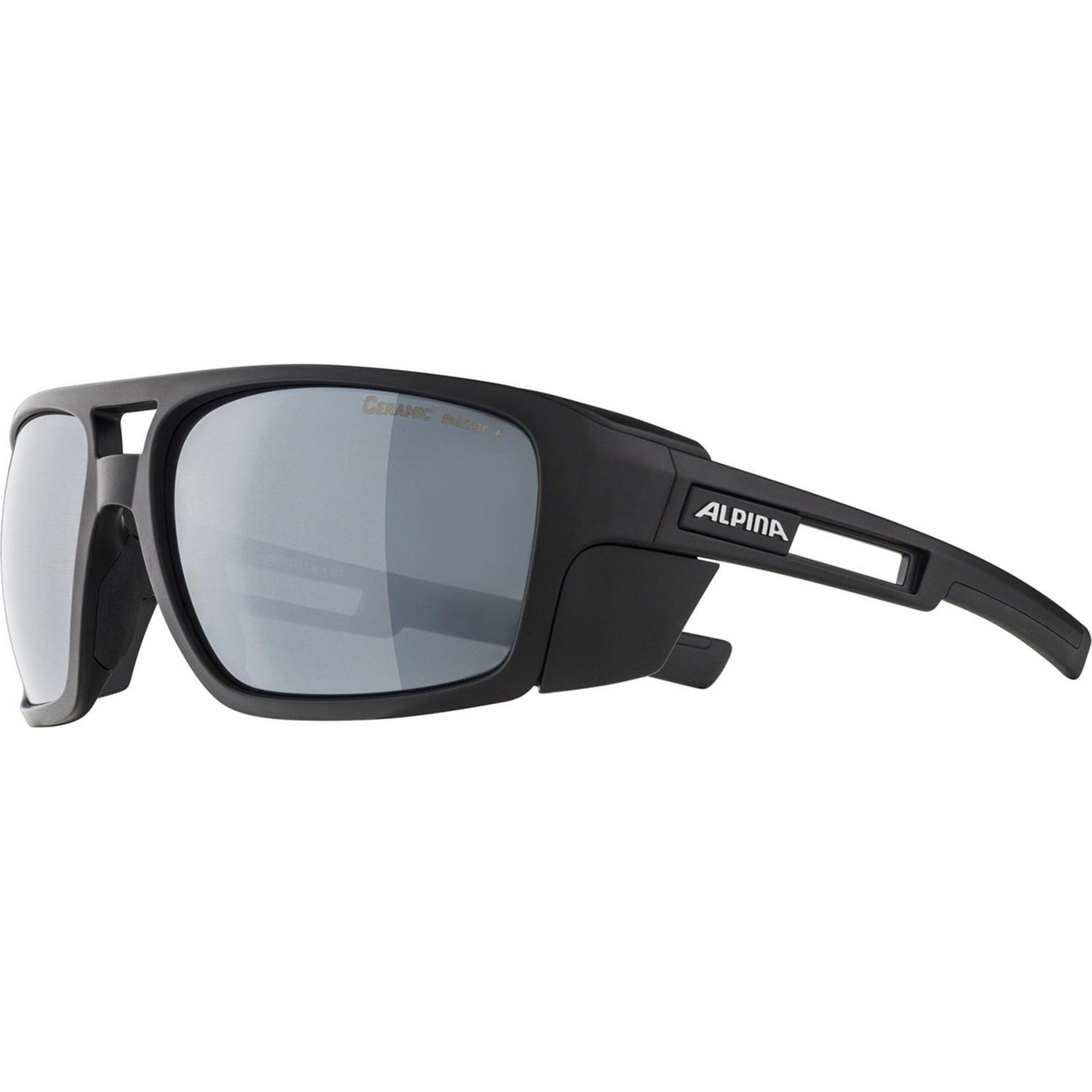 Alpina Skywalsh Gletscherbrille Gletscherbrillen schwarz Alpinklettern | Bergsteigen | Hochtour