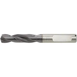 Gühring, Bohrereinsatz, Format 7612090690 – SL-Bohrer VHM 6537HE 3ñx D 6.90ñmm Fire ik gñhring (6,9 Millimeter)