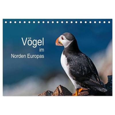 Vögel im Norden Europas (Tischkalender 2026 DIN A5 quer), CALVENDO Monatskalender