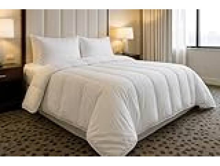 Couette Coton Percale 240x260