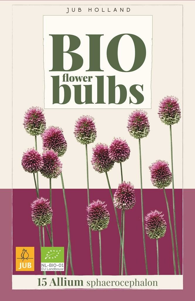 Jub Bio Allium Sphaerocephalon 15 bollen
