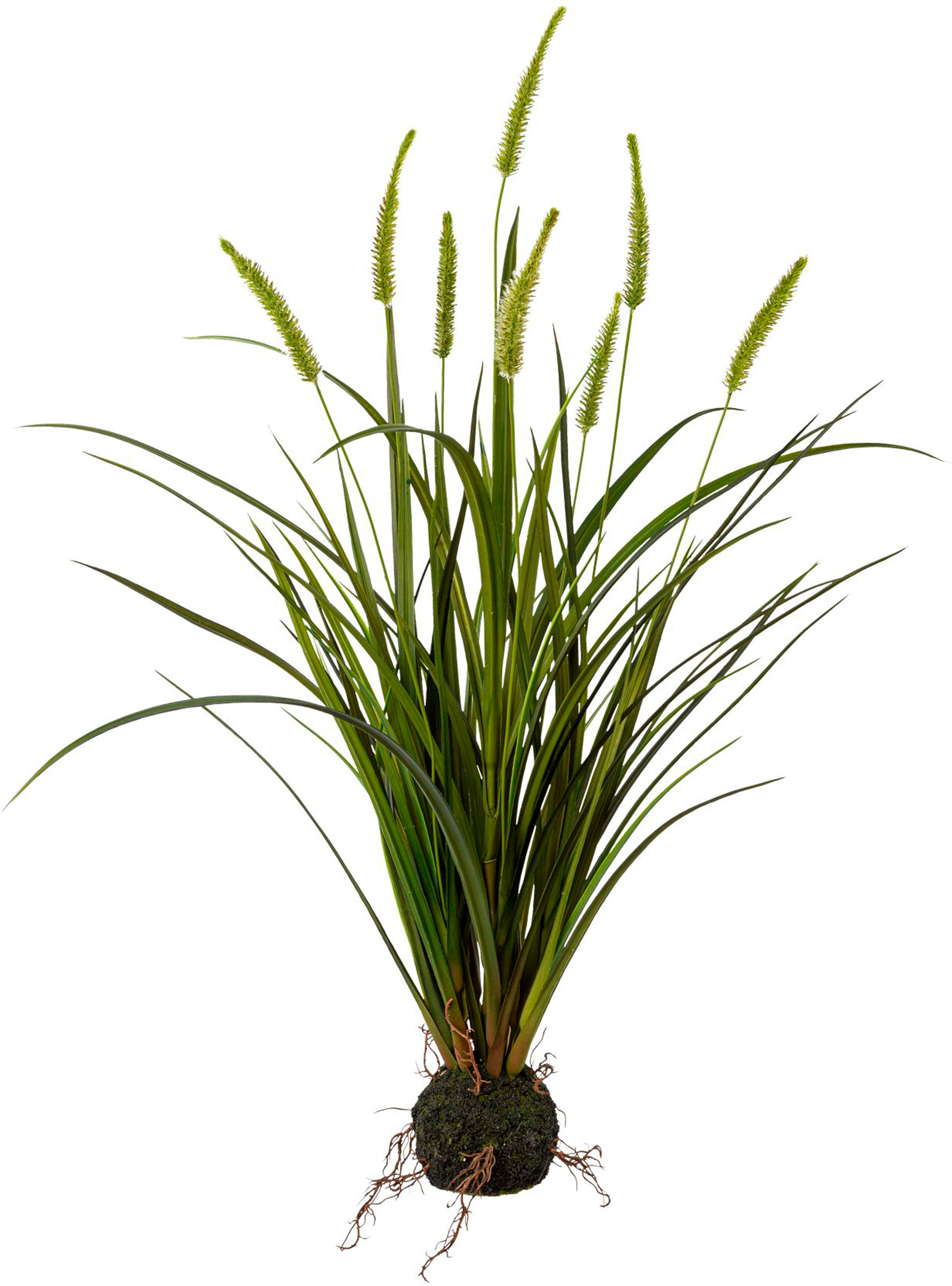 Kunstgras CREATIV GREEN "Miscanthus im Erdballen", grün, H:75cm, Obermaterial: 100% Polyethylen, Kunstpflanzen, Kunstgras