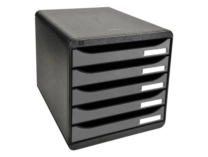 EXACOMPTA Module de classement Big Box Plus 5 tiroirs Metallic - Argent
