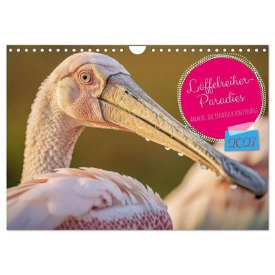 Löffelreiher-Paradies (Wandkalender 2027 DIN A4 quer), CALVENDO Monatskalender