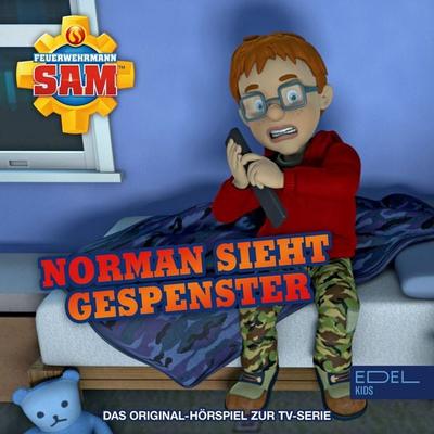 Folge 135: Norman sieht Gespenster (Das Original-Hörspiel zur TV-Serie) - Stefan Eckel, Audio, 4029759221142