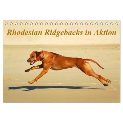 Rhodesian Ridgebacks in Aktion (Tischkalender 2026 DIN A5 quer), CALVENDO Monatskalender
