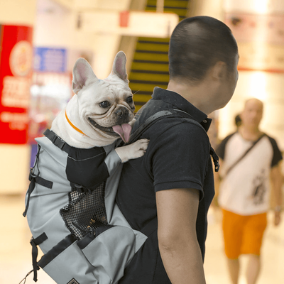 PetsAreLife Pet Carrier Backpack Gray S