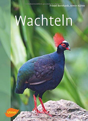 Friedel Bernhardt - Wachteln - Preis vom 11.10.2026 15:43:13 h