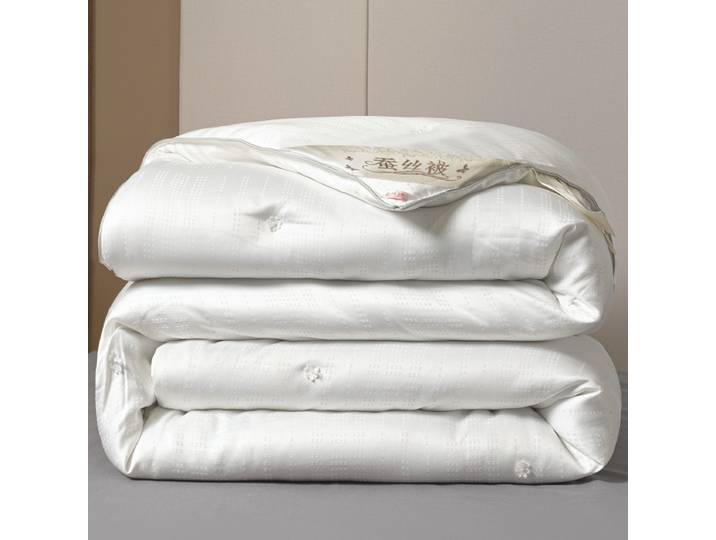 Insert de couette en soie de mûrier naturelle, couette de luxe Queen King Size, couette d'été et d'hiver pour Couple simple, literie de remplissage