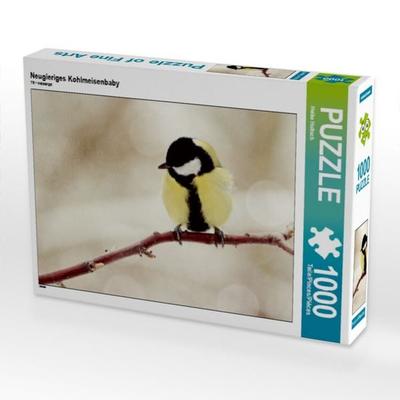 CALVENDO Puzzle Neugieriges Kohlmeisenbaby | 1000 Teile Lege-Größe 64x48cm Foto-Puzzle für glückliche Stunden
