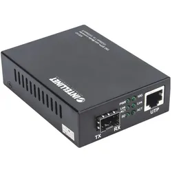 Intellinet Medienkonverter, Data Converter