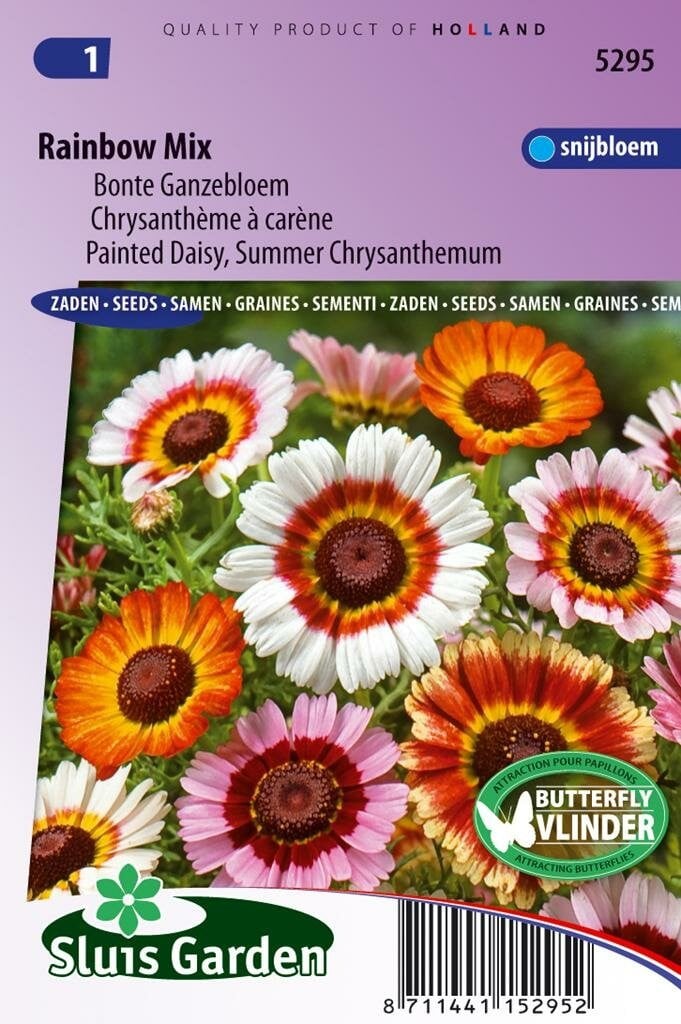 Sluis Garden Chrysanthemum zaden Rainbow mix Margriet