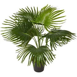 KUNSTPFLANZE Fächerpalme, 80 cm