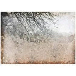FOTOTAPETE Wiese Abstrakt Braun 200x140 cm