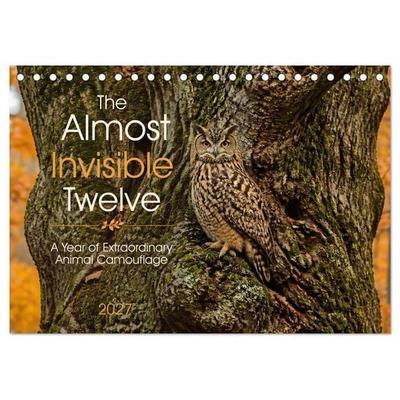 The Almost Invisible Twelve (Desk Calendar 2027 DIN A5 landscape), CALVENDO 12 Month DeskCalendar