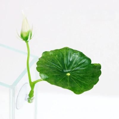 Uplifted Finds 1Pc Green Leaf Betta Fish Hammock Aquarium Safe Decor a3