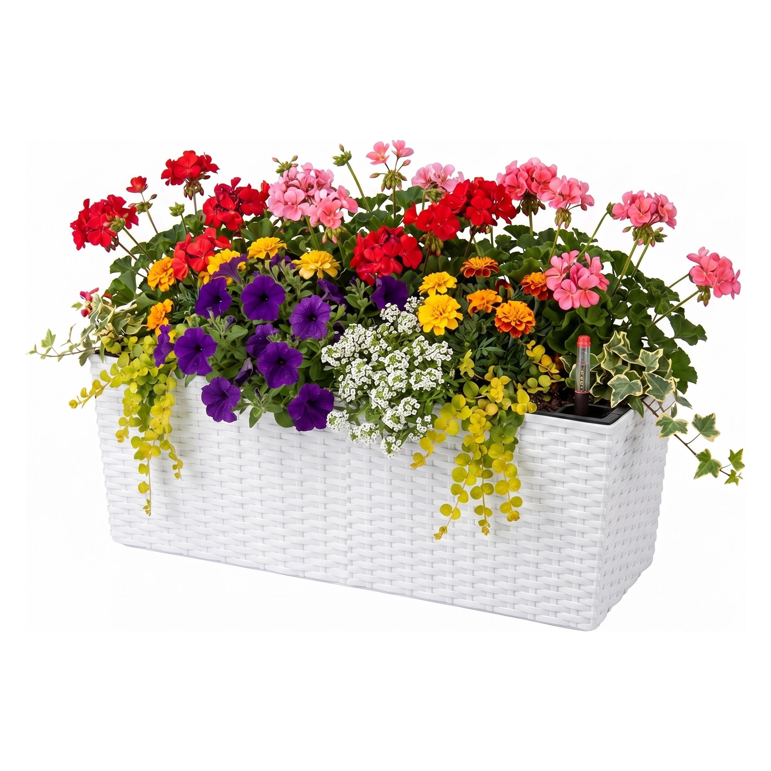 Relaxdays Balkonkasten (19 x 50 x 19 cm) (4052025833121)