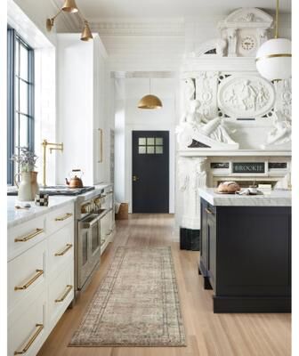 Alexander Home Sara Antique Ultra Plush Area Rug