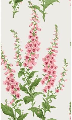 Graham & Brown Foxglove Day Wallpaper