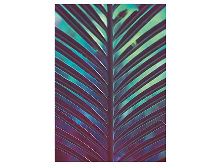 Komar Hide – Taille : 50 x 70 cm Tableau mural\, poster (sans cadre) – Pure Boutique