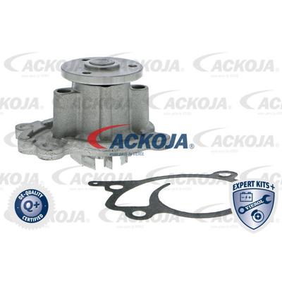 ACKOJA Wasserpumpe a3850009 für SMART Mercedes NISSAN RENAULT DATSUN DACIA